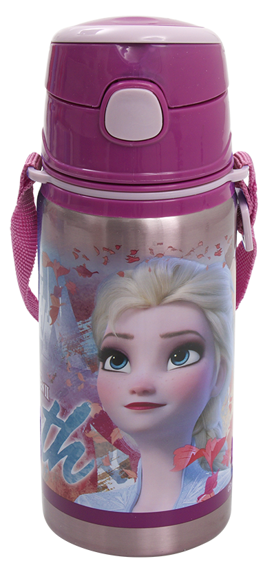 FROZEN ÇELİK MATARA SALTO 500ml HIDDEN TRUTH